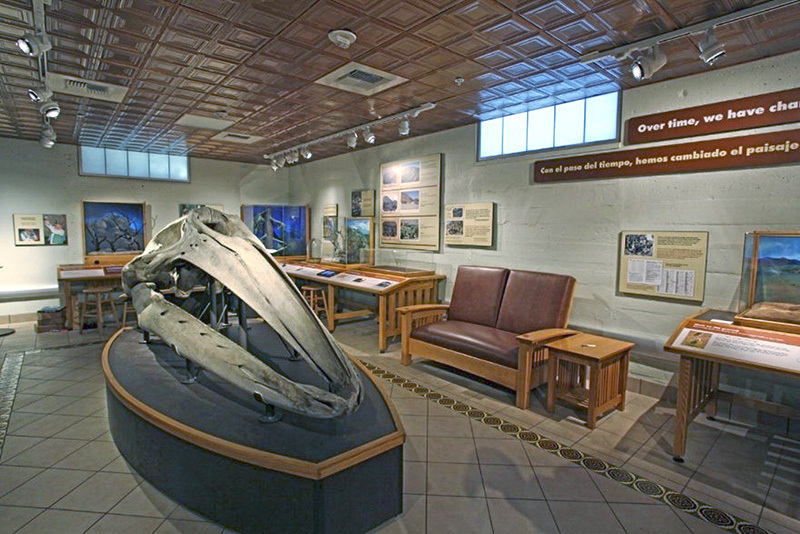 san diego natural history museum